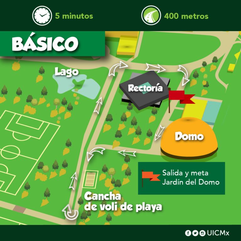 circuito-saludable-basico