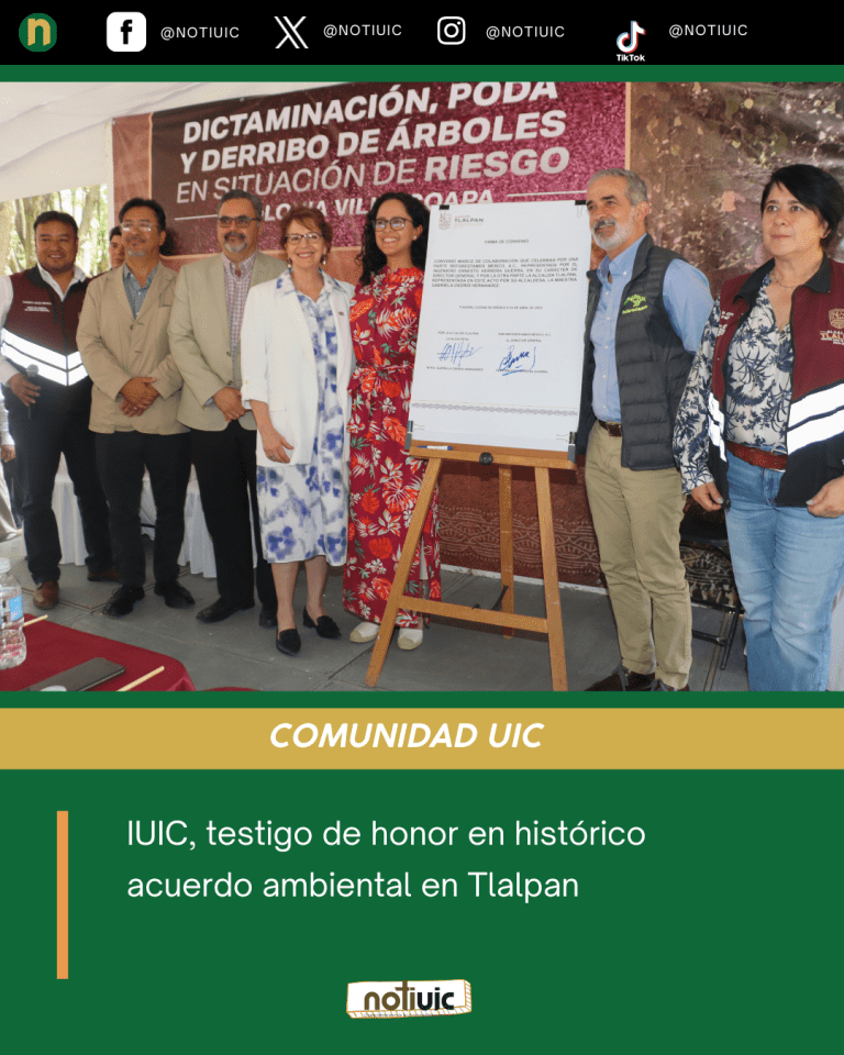 VIDA UNIVERSITARIA (2)