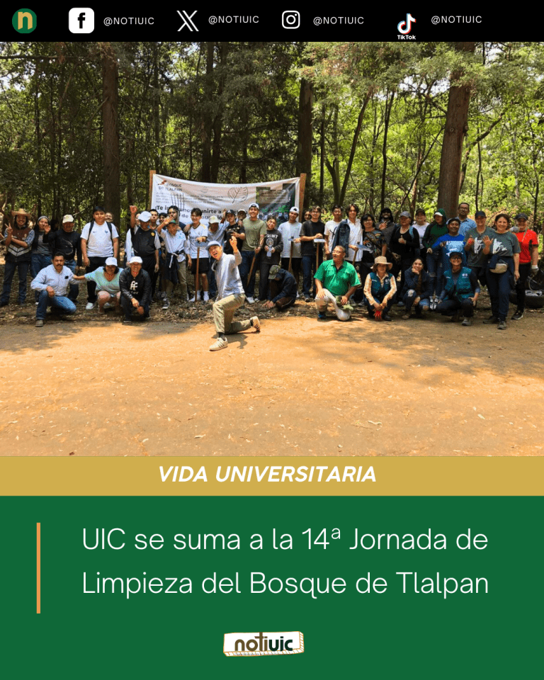 VIDA UNIVERSITARIA (3)