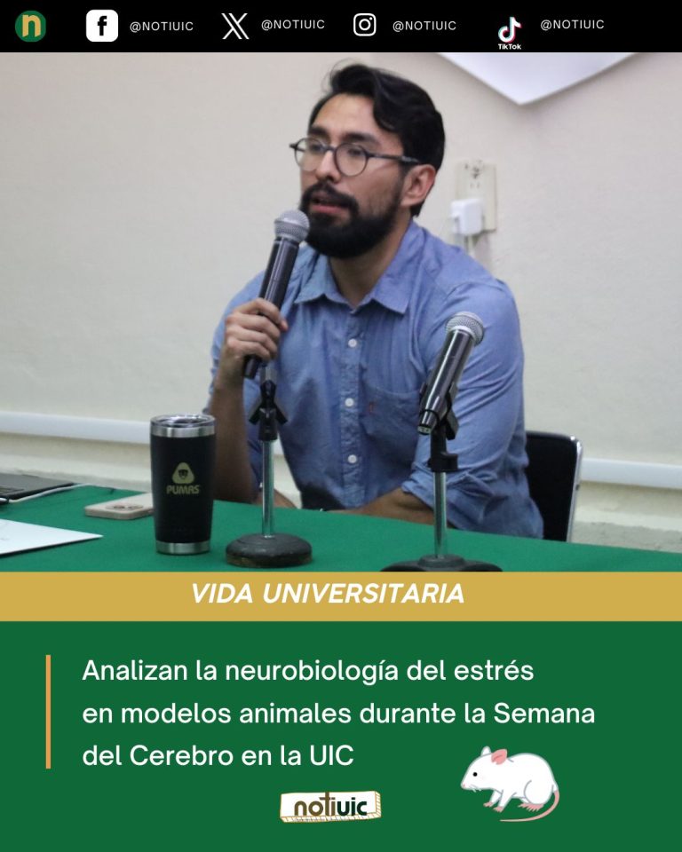 VIDA UNIVERSITARIA (73)