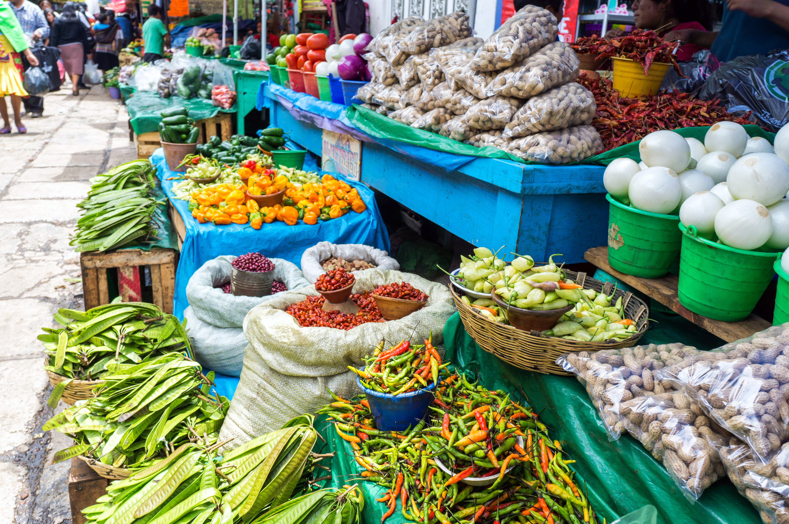 Alimentación en México y su impacto en la salud pública