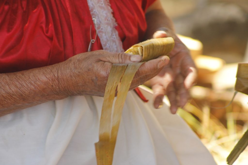 Mujer con tamal, alimento tradicional mexicano —maíz—, símbolo de la diversidad alimentaria pluricultural
