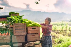 Mujer rural trabajando en el campo, representando su papel en la seguridad alimentaria y la nutrición