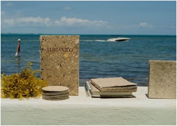 Usos del sargazo en México