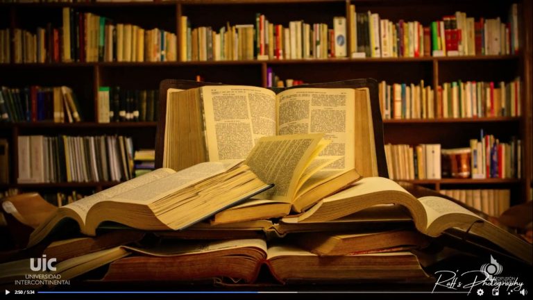 Imágenes desde el confinamiento