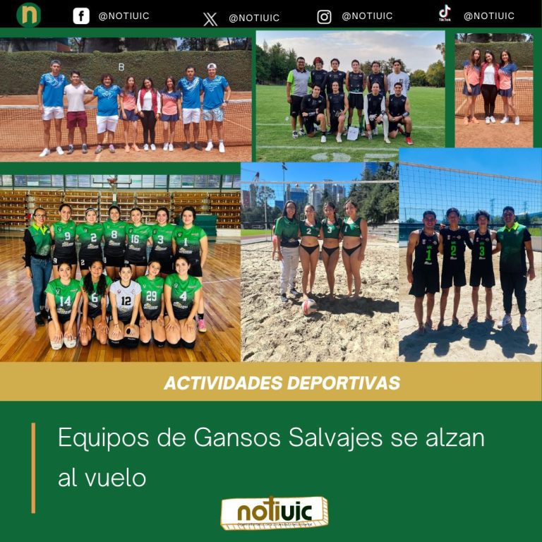 Equipos de Gansos Salvajes se alzan al vuelo