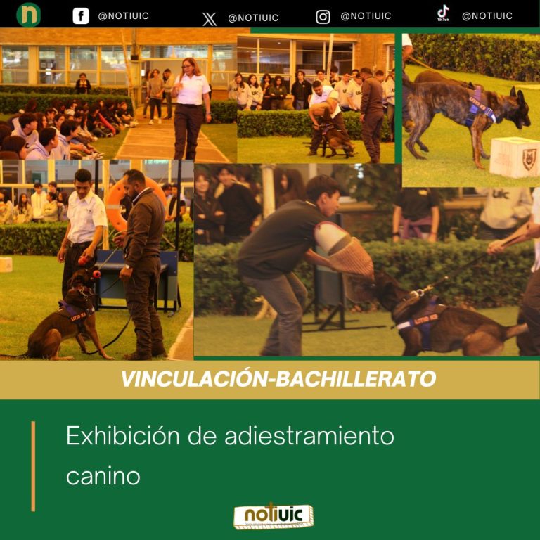 Exhibición de adiestramiento canino